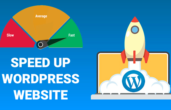 Speed up WordPress website – Professional service with more than 15 years of experience